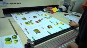 Máy In ấn offset chất lượng